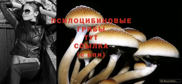 каннабис Баксан