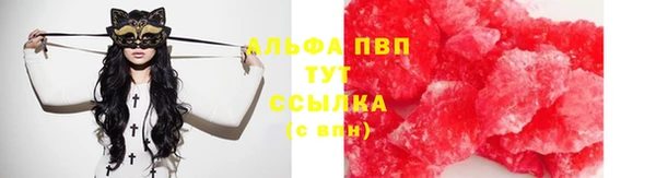 амф Белокуриха