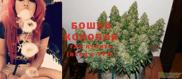 амф Белокуриха