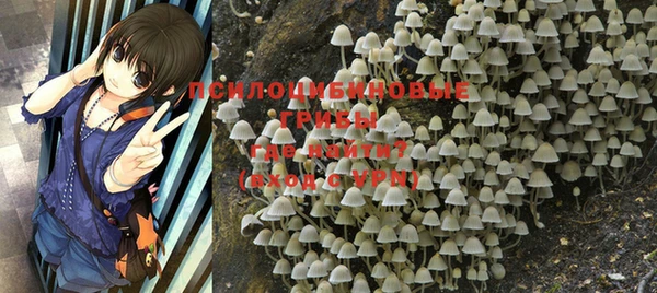 мефедрон Снежногорск